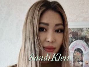 SandiKlein