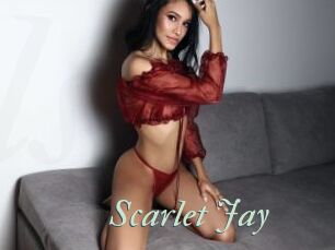 Scarlet_Jay