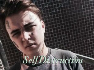 SelfDistruction
