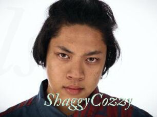 ShaggyCozzy