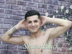 ShaneBlack