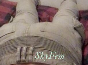 ShyFem