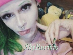 SkyBurrito