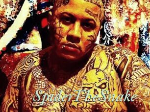 SpiderTheSnake