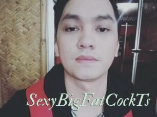 _SexyBigFatCockTs_