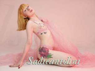 Sadieantolini