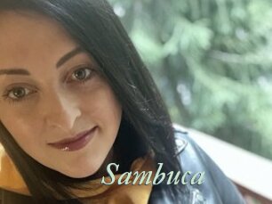 Sambuca
