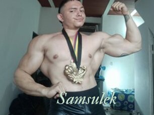 Samsulek