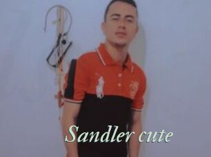 Sandler_cute