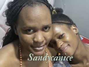 Sandycanice