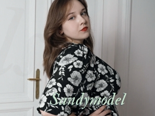 Sandymodel