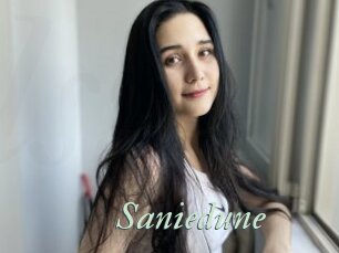 Saniedune