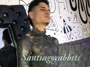 Santiagorabbits