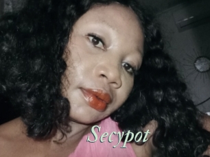 Secypot
