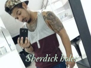 Sherdick_holes