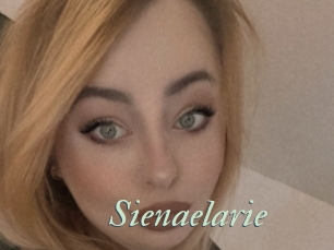 Sienaelarie