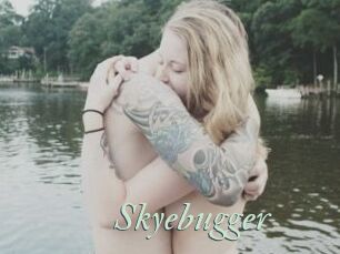 Skyebugger