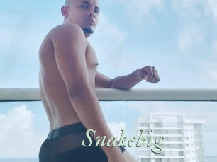 Snakebig