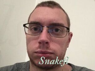 Snakefl