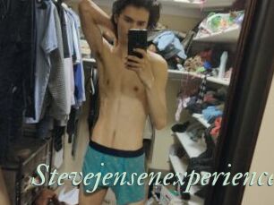 Stevejensenexperience