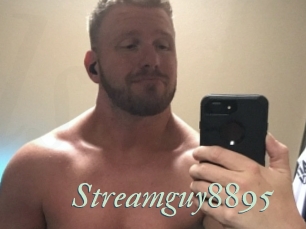 Streamguy8895