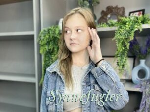 Synnefugler