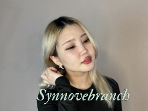 Synnovebranch