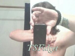 TSFidget