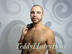 TeddyHairyBear