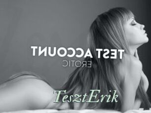 TesztErik