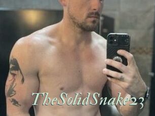 TheSolidSnake23