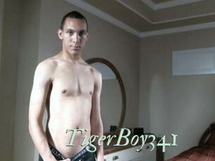 TigerBoy341