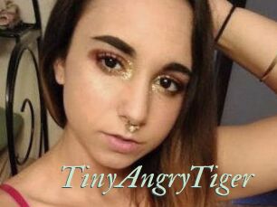 TinyAngryTiger