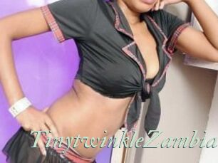TinytwinkleZambia