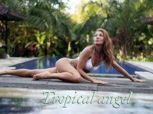Tropical_angel