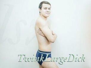 TwinkLargeDick