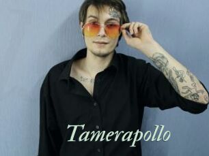 Tamerapollo