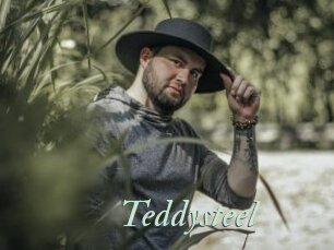 Teddysteel