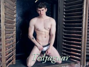 Tedjaguar
