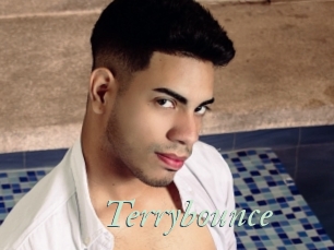 Terrybounce