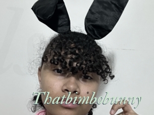 Thatbimbobunny