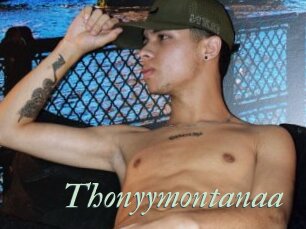 Thonyymontanaa