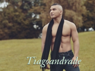 Tiagoandrade