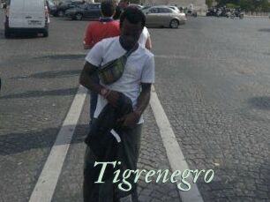 Tigrenegro