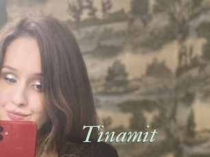 Tinamit