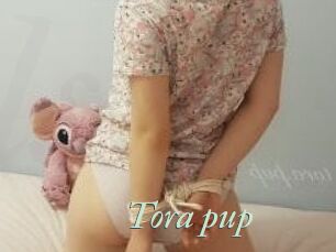 Tora_pup