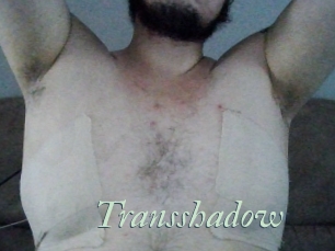 Transshadow