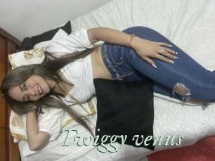 Twiggy_venus