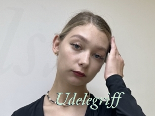 Udelegriff