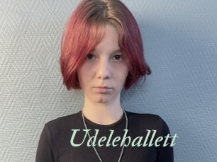 Udelehallett